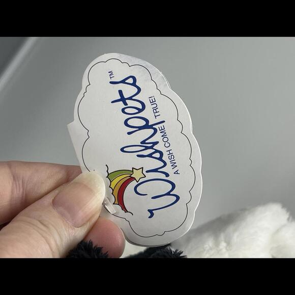 2002 Retired Boston Terrier Puppy Dog Wishpets - Joby - Displayed Only - Rare - Picture 4 of 9